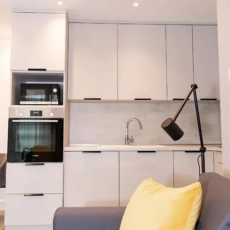 Luxury Cozy 2 Bdr Downtown Apt.3 Budapest Kültér fotó